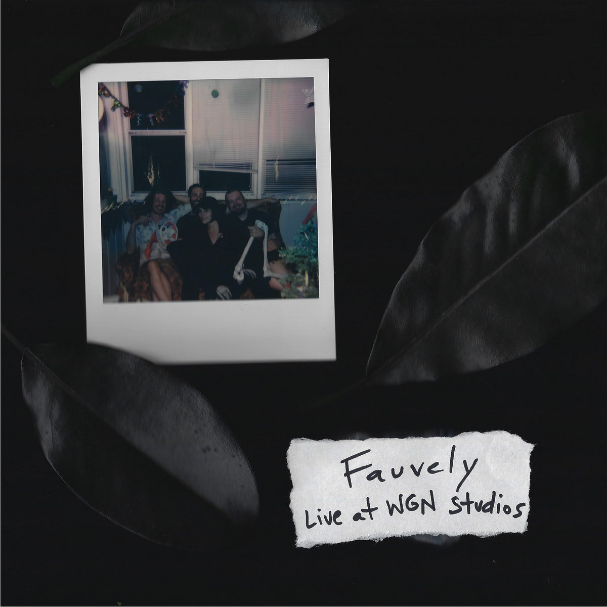 Fauvely: Live at WGN Studios by Fauvely